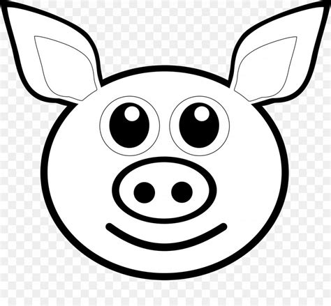 pig coloring book drawing face clip art png xpx pig area