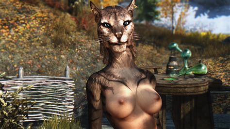 image 1959516 khajiit laarel skyrim skyrim immersive porn the elder scrolls