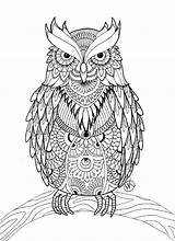 Coloring Pages Owl Adults Print Detailed sketch template