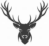 Deer Clipart Stencil Drawing Elk Transparent Stag Moose Antlers Silhouette Head Horns Template Skull Clip Reindeer Antler Svg Background Face sketch template
