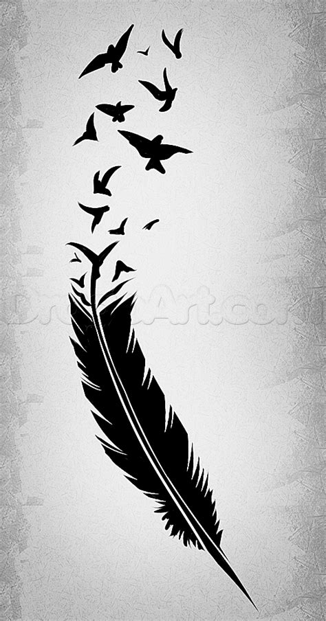 draw  black feather black feather tattoo step  step