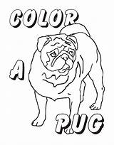 Pug Coloring Pages Puppy Print Colouring Pugs Printable Dog Baby Boxer Kids Printables Color Clipart Dogs Squishy Gif Library Getcolorings sketch template