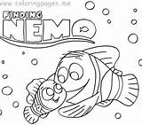 Nemo Finding Coloring Pages Printable Turtle Fish Travel Bruce Getdrawings Sheets Colouring Dory Kids Color Characters Getcolorings Pdf Marlin Colorin sketch template