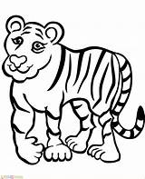 Harimau Mewarnai Tigre Kartun Marimewarnai Feio Belajar Stampare Colorironline Paud Sd Categorias Borop Bukaninfo sketch template