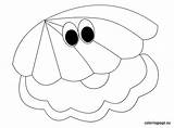 Coloring Shell Oyster Pages Getcolorings Getdrawings sketch template