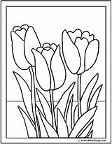 Coloring Tulip Pages Flower Tulips Printable Pdf Flowers Color Three Printables Realistic Spring Blossoms Stained Glass Colorwithfuzzy sketch template