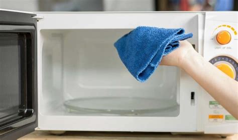 clean  microwave quickly  easily bond cleaning  townsville
