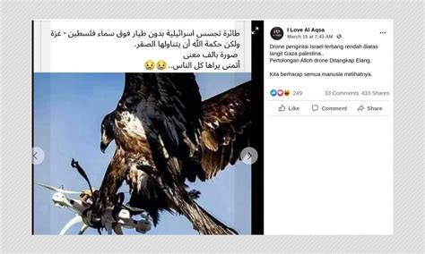 photo   netherlands shared  eagle catching israeli spy drone boom