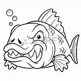 Fish Outline Coloring Fangs Vector Angry 450px 62kb Sea sketch template