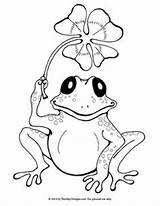 Coloring Pages Frog Coqui Rico Puerto Open Sheets Kids Drawing sketch template