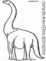 Brachiosaurus Coloring Pages Colorings sketch template