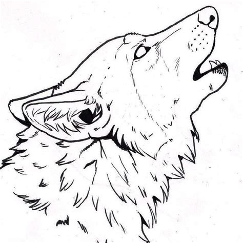 im offering  discount wolf face drawing wolf head drawing wolf