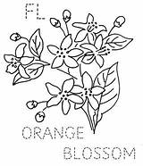 Blossom Apricot Sizes Turkeyfeathers Petals Designlooter 372px 3kb Naranja sketch template