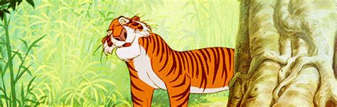 shere khan s find and share on giphy