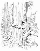 Bigfoot Coloring Pages Sasquatch Colouring Designlooter Drawings sketch template