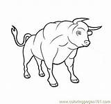 Bull Coloring Brahman 44kb 437px sketch template