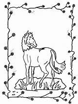 Pferd Cavalos Ausmalbilder Paard Fargelegg Caballo Cheval Pferde Jetztmalen Hester Coloriage Nukleuren Anzeige Kleurplaten Caballos Chevaux Paarden Publicidade sketch template