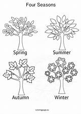 Seasons Coloring Four Activities Tree Pages Winter Template Colouring Printable Spring Kids Grade Sheets Booklet sketch template