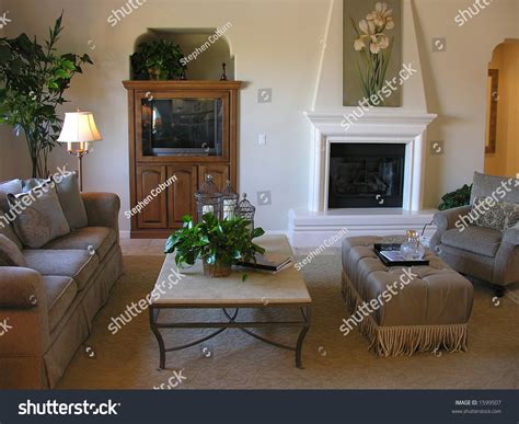 nicely decorated living room interior stock photo  shutterstock