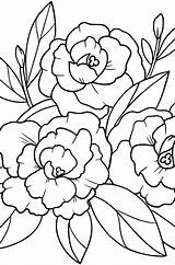 Peony Flowers sketch template