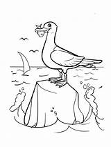 Coloring Pages Seagull Birds Printable Seagulls Kids Recommended sketch template