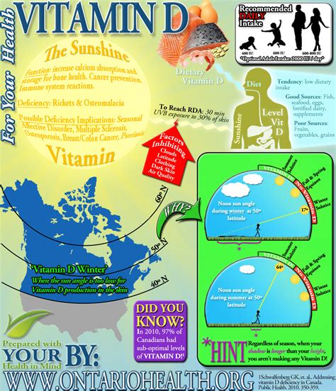 vitamin d infographic optimum health fergus ontario