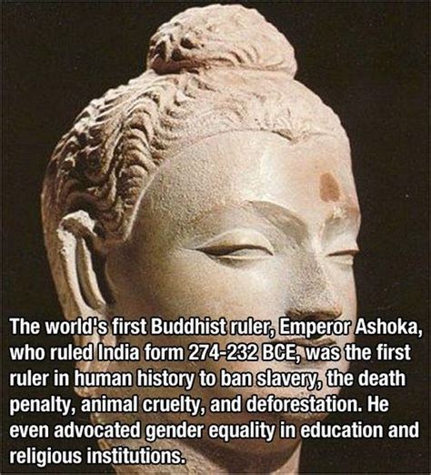 mind blowing facts 30 pics
