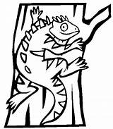 Iguana Coloring Pages Clipart Animals Color Coloing Printable Library Books Categories Similar sketch template
