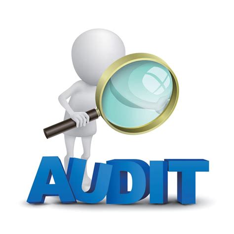 types  audit  pharma company