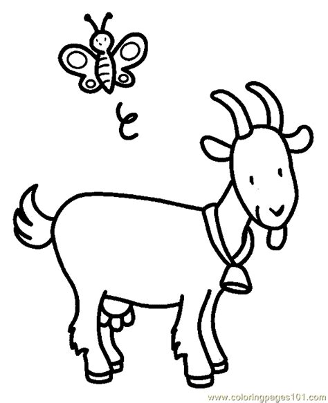 coloring pages goat coloring page  animals goat  printable