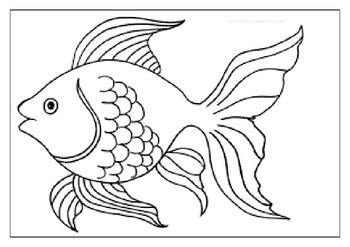 ocean animals coloring pages  michelle kinder page tpt
