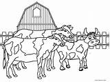 Coloring Farm Animal Pages Cows Animals Printable Kids Herd Print Cool2bkids sketch template