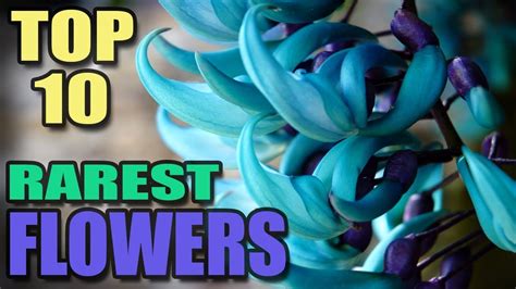 Top 10 Rarest Flowers In The World Amazing World Youtube