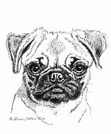 Pug Pugs Sketch Miniprint Embellished Kipdog sketch template