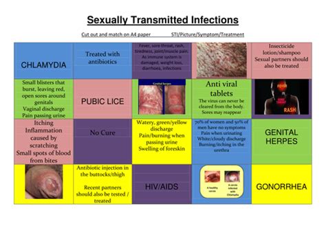 sexually transmitted infections sti starter activity