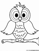 Owl Cartoon Coloring Pages Clipart Colouring Library Sheet Clip sketch template