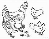 Coloring Pages Farm Kids Animal sketch template