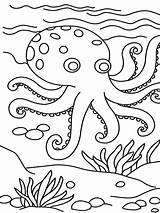 Octopus Coloring Pages Kids Printable Animal Jumbo Print Book Clipart Sheets Preschool Easy Doc Coral Drawing Cartoon Color Cute Ocean sketch template