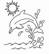Template Dolphin Coloring Templates Face Sample sketch template