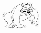 Bear Angry Grizzly Coloring Pages Template sketch template