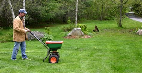 lawn care prices corkd