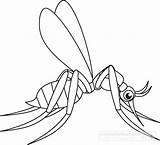 Coloring Mosquito Getcolorings sketch template