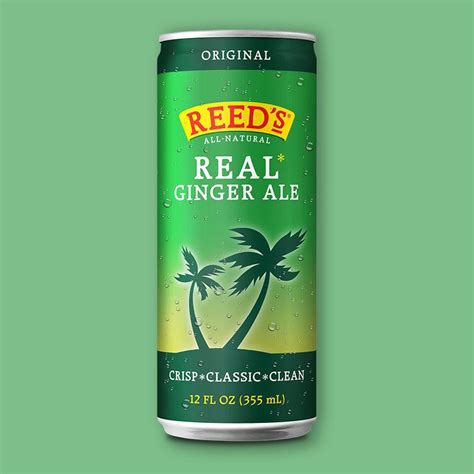 Real Ginger Ale 12 Fl Oz Pack Of 6 Snackmagic Build Your Own 100