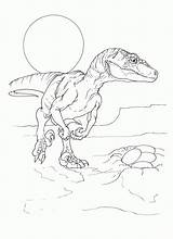 Coloring Velociraptor Jurassic Pages Printable Raptor Park Spinosaurus Dinosaur Color Da Colorare Kids Ford Colouring Rex Bestcoloringpagesforkids Clipart Animal Simple sketch template