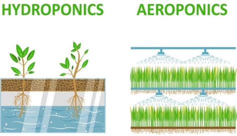 aeroponics system information  beginners agri farming