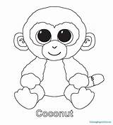 Coloring Ty Beanie Pages Boo Boos Coconut Colorear Babies Para Printable Dibujos Color Peluches Beanies Drawing Baby Print Zum Penguin sketch template