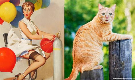 cats that pose like pin up girls from the 1940s and 1950s