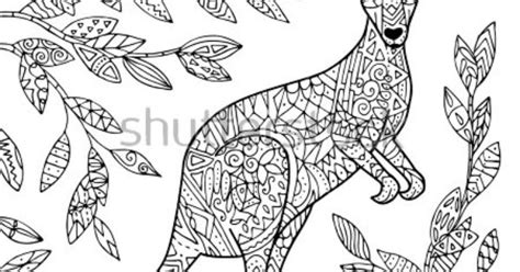 vector kangaroo illustration adult coloring page coloring pages