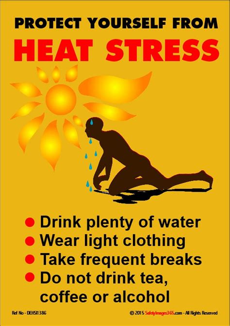 dehydration safety poster protect   heat stress