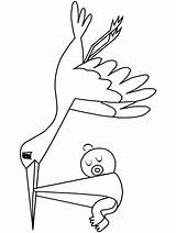 Stork Coloringpagebook sketch template